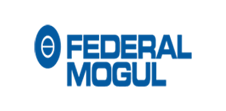 Federal Mogul India
